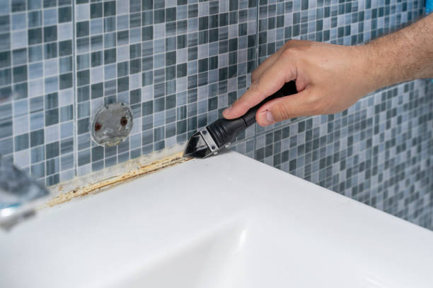 Best Insurance-Related Mold Remediation in Harmony Grove, CA