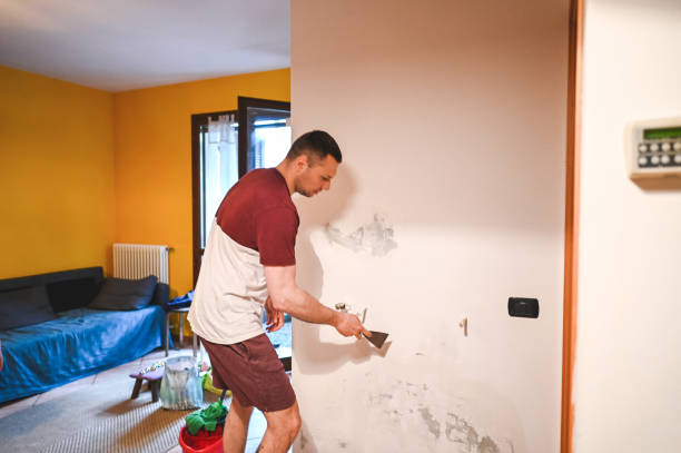 Best Residential Mold Remediation in Harmony Grove, CA